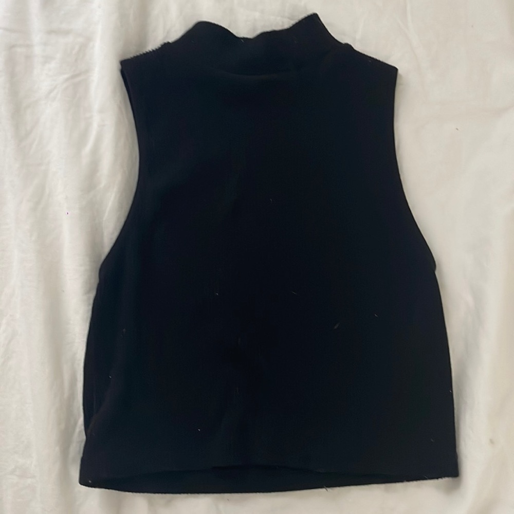Zara cropped short sleeve turtle neck